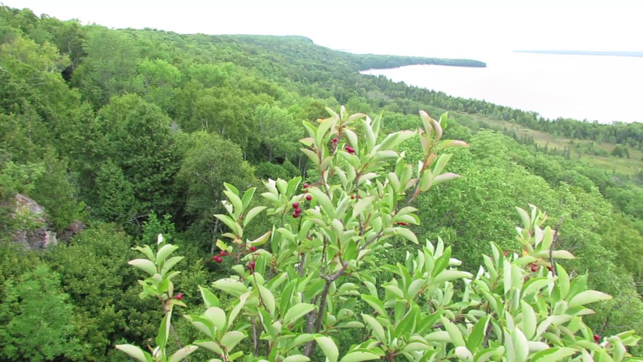 Hope Bay Provincial Nature Reserve, Lion's Head ON, Aug 3, 2016 - YouTube
