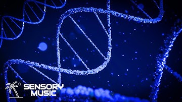 Craig David & Galantis - DNA