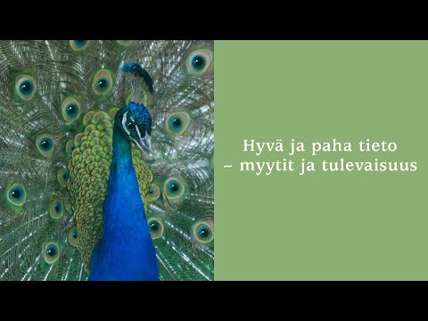 Video: Tiede On Laittanut Rakkauden Hyllyille - Vaihtoehtoinen Näkymä