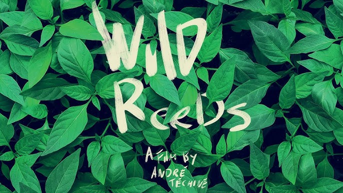 Wild Reeds (1994) Wild Reeds (1994)