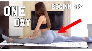 How to get your splits in ONE DAY (SIMPLE, FAST, EASY) for BEGINNERS Resimi