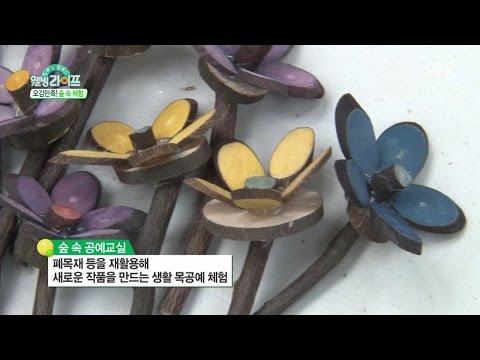 '숲과 함께' 자연 휴양림 오감 체험 힐링 @해피 투데이 20150605
