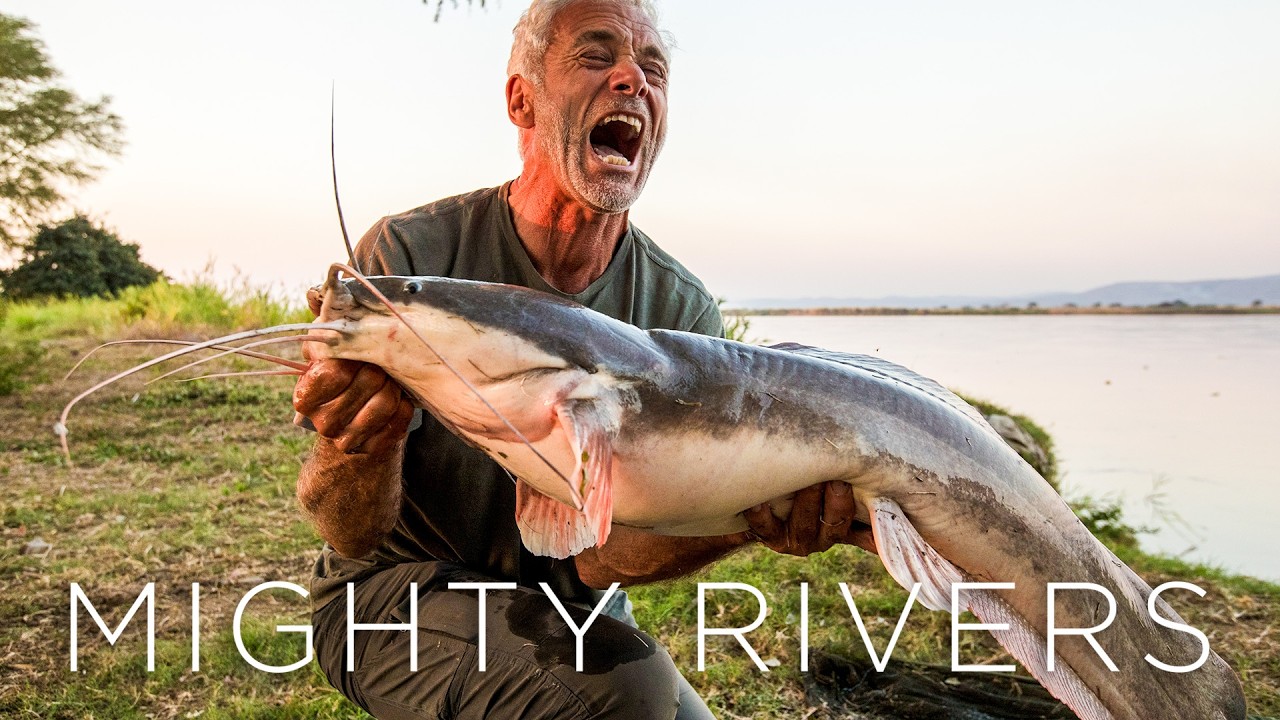 Catching The World's Biggest Fish In Mighty Rivers