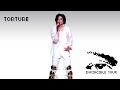 Michael Jackson And The Jacksons Torture Invincible Tour First Leg 