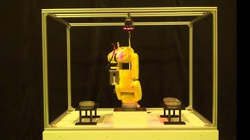 Robotic Deburring with Vision and Force Sensor