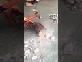 How to extract precious metals from three-way catalytic converters##Palladium#Gold#Platinum