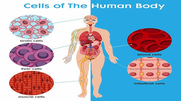 CLASS 8 ~ BIOLOGY CHAPTER 2-Cell Clusters |Tissues | From a sing cell | Stem | Part 1| SCERT