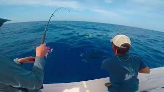 Bimini Summer Diving Spearfishing Mahi Fishing SHIPWRECK SAPONA