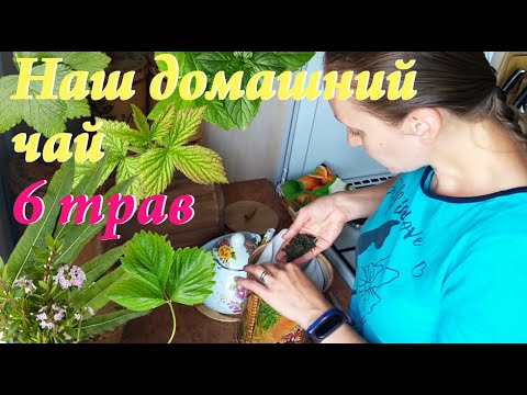 Чай из 6 полезных трав. Достойная замена обычному чаю и кофе. Травяной чай своими руками