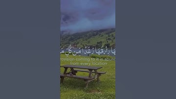 قرآن كريم بصوت عبد الرحمن مسعد🌿اجر لي ولكم💞