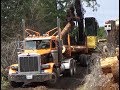 Jan hauls another load to the mill, and goes for a second load