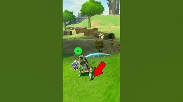 Can you Thunderclap Rush in Tears of the Kingdom (Revisit)