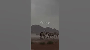 تلاوه خاشعه مؤثره تخشع لها القلوب #القرآن_الكريم #إسلامك #ارح_قلبك #islamuk