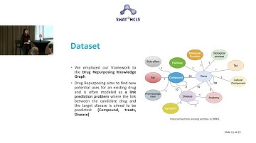 Explaining Graph Neural Network Predictions for Drug Repurposing