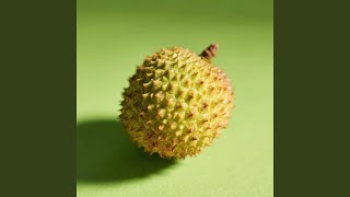 Riang Hari Api Kembali