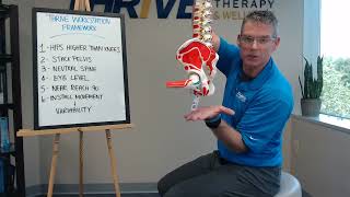 Workstation Wellness, Step 2: Stack the Pelvis | Thrive Physical Therapy & Wellness, Richmond, VA
