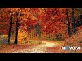 Красивая Золотая Осень.🍁 Осеннее настроение. Красивая музыка 🎶