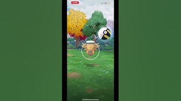 I finished research bug out collection challenge:butterfly effect , strength or speed and string