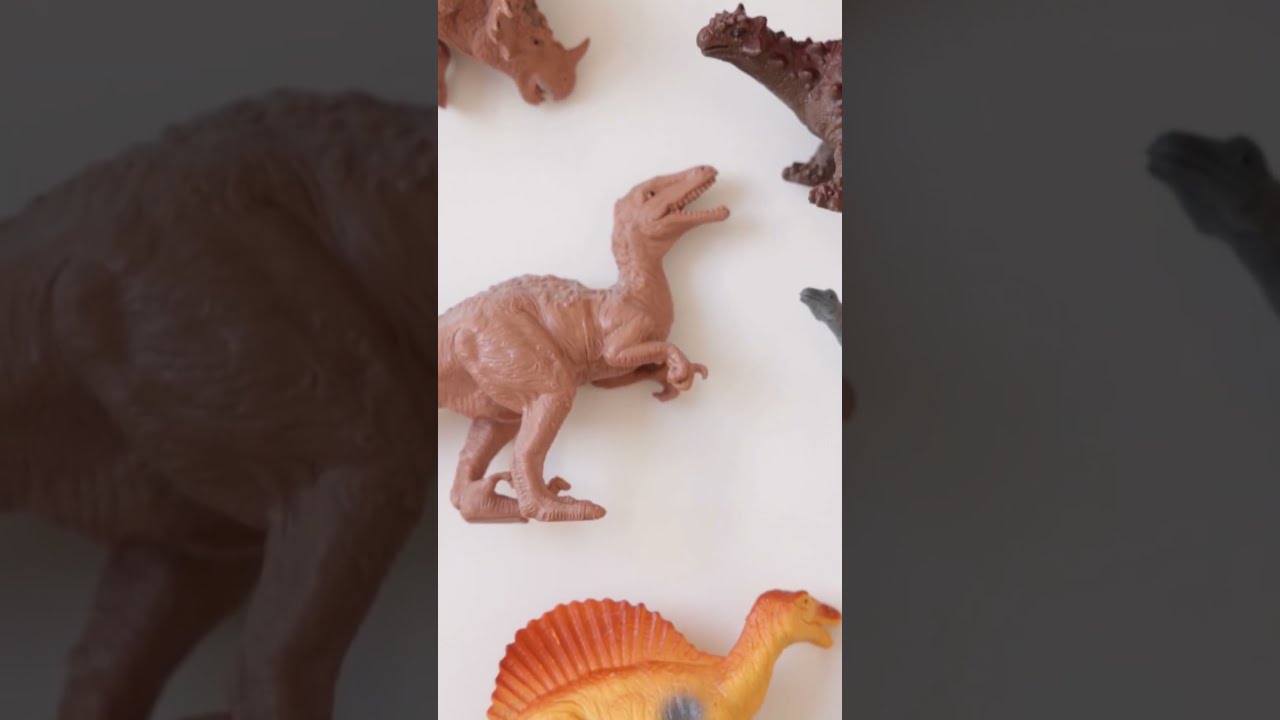 Swearing On Crocodile Skulls Wild Justice In Ancient Africa 