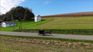 Amish Buggy going home from church  - Ragersville,OH 44681