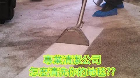 如何清理你的地毯?? 帶你看清潔公司怎麼做 - 天天要聞