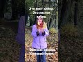 nouns: лист, листья, краски, букет; adjectives: осенние, осенний.
