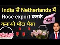 how to export roses from india I export flowers from india I rajeevsaini I rose export