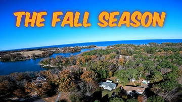 DJI Mini 5 Pro Did I Need One? #djimini #gopro10 #fpvdrone