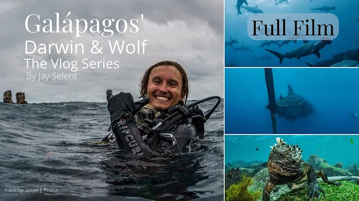 Galpagos' Diving Travel Darwin & Wolf Series Full Movie