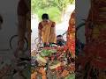 vat सावित्री,, पूजा ☺️🙏 |#bhakti #vattsavitrivrrat#viral#trending#ytshorts#ushavlogs