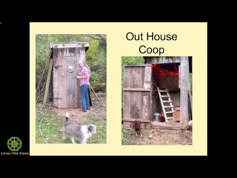 Winter Care Of Poultry Part 5 Predators Frostbite Youtube