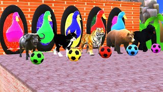 Cat vs gorila race  long slide game with animals  screenshot 5