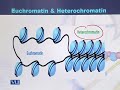 GEN732 Advanced Cytogenetics Lecture No 34