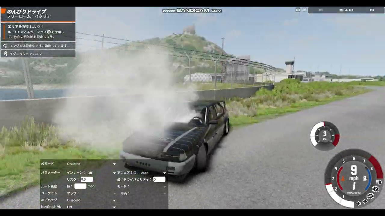 乱暴者の自動車