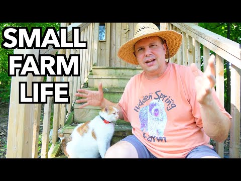 ผลสลากกินแบ่งรัฐบาล วันที่ 1 พย. 2567