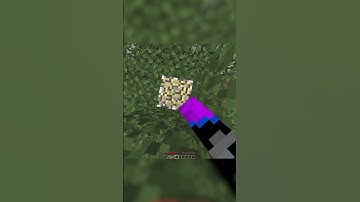 Minecraft But Drops Are Random  #funny #minecraft  #recommended #meme #minecrafter #fyp