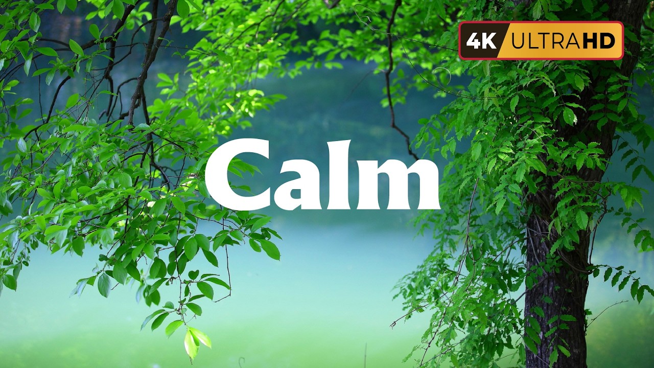 Relaxing Guitar for Stress Relief, work and study | Calm Piano & Guitar Music with Birds Singing