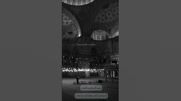 سورة النساء | القارئ طارق محمد 🤍🫶🏻.