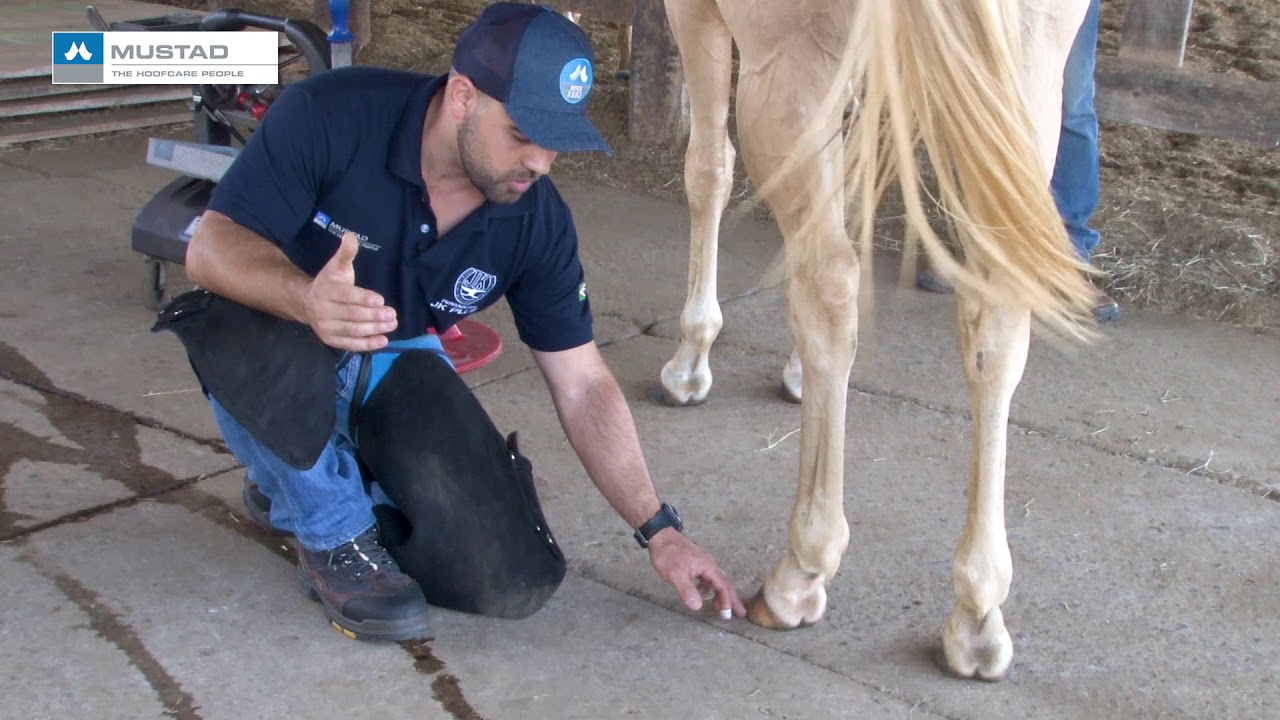 TV UC - Broca do casco