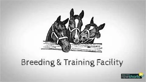 The Equine Admin