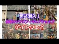 ソフビフィギュアショップ！伝説のお店に再び潜入！ゲイトウェイ店内を徹底調査！#ソフビ#昭和レトロ#絶版玩具#お宝番長#ブラショ#リサイクルショップ巡り#中古フィギュア