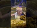 Aquarium day aquarium fun family shark wwe familyfun familyvlog underthesea ocean