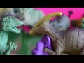 Beginning of video