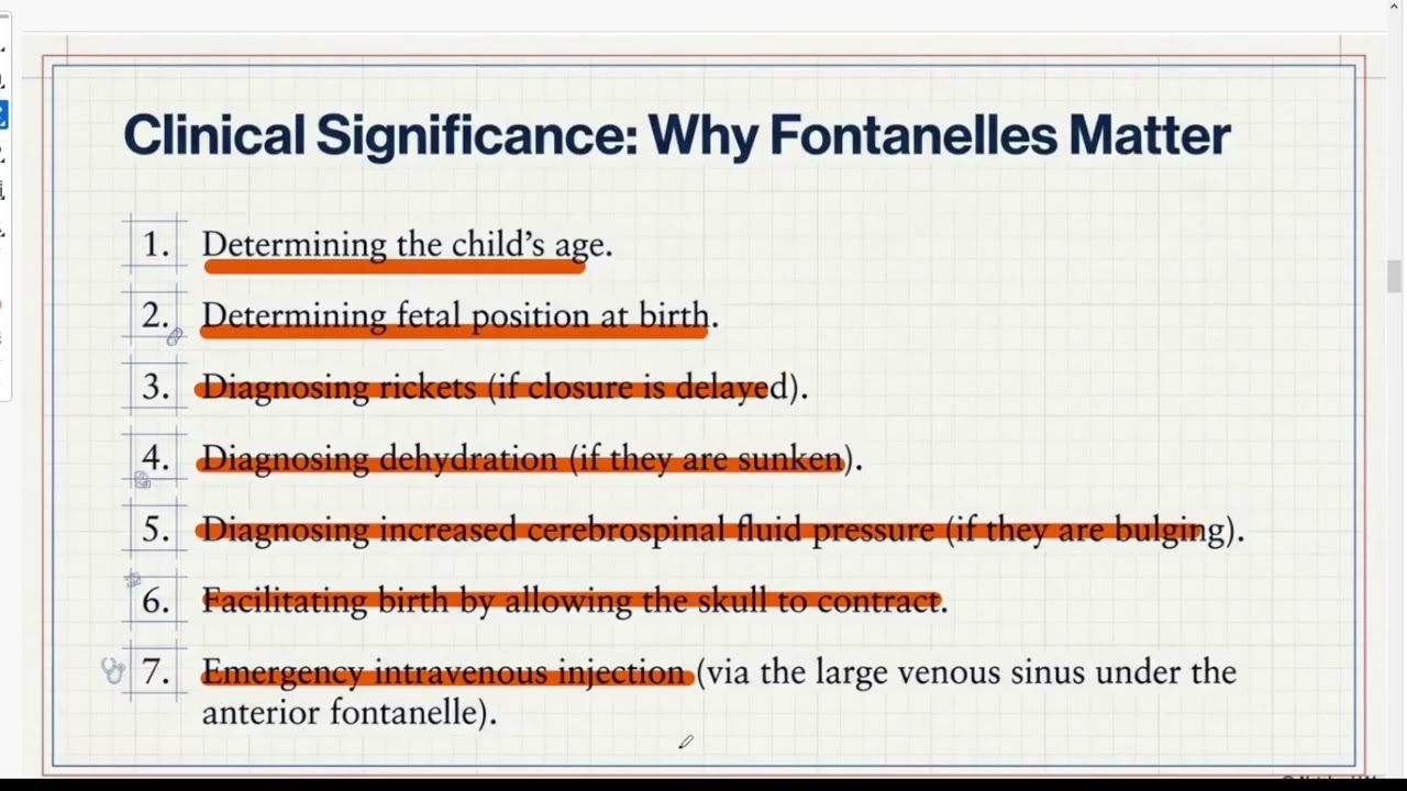 الجزء الثاني من المحاضرة الأولى 