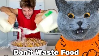 Just Use A Little Oscar! It’s Not Good To Waste Food😟👀|Oscar‘s Funny World|Cute And Funny Cat TikTok