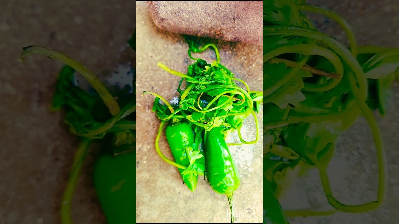 টকটক ঝাল ঝাল আমলকি চাট😃lamloki  chaat