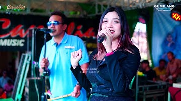 CAMELIA MUSIC - PESONA LAILY ALDIVA - WEDDING ARI & TIKA PIJI BENTER DAWE KUDUS