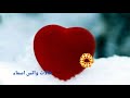 اغنية باسم ولاء هدية لكل بنت اسمها ولاء