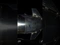SpaceX's 2 Starlink Dodger Dogs captured incredible video and imagery."That is a Starship in space!"