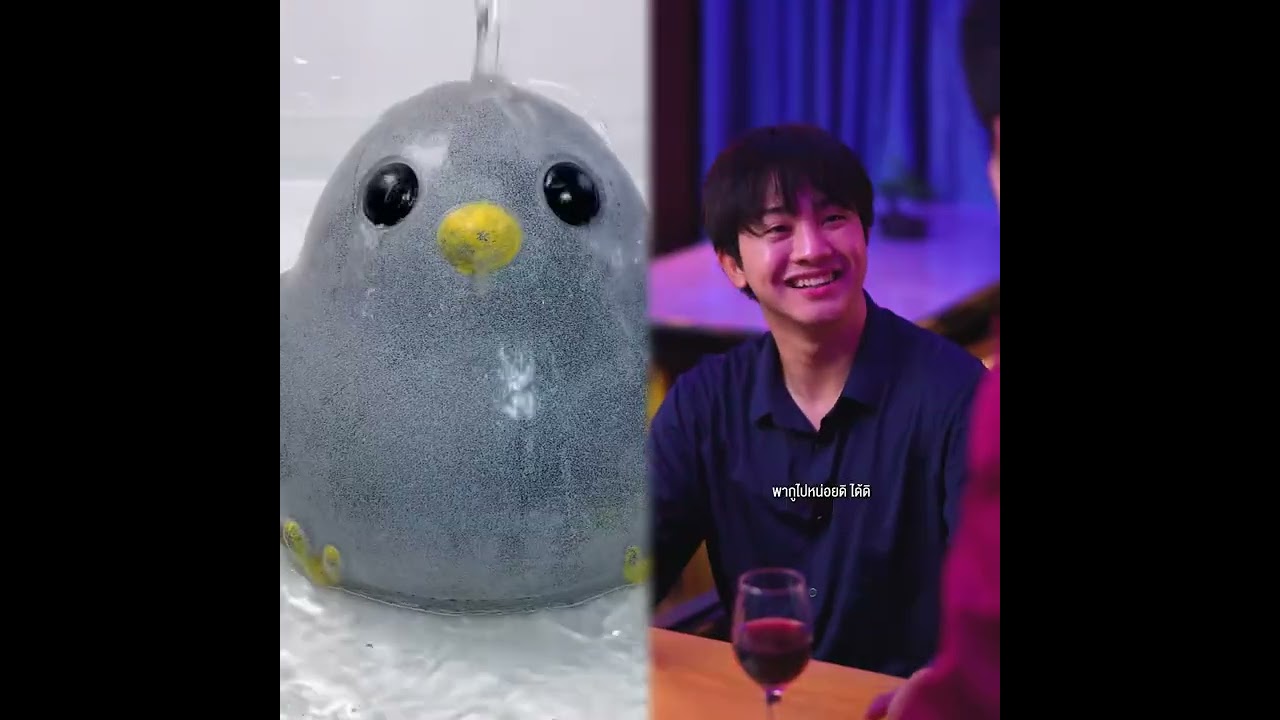 POV ที่ดีที่สุด (@yeeyee.hashtag ) 🥉 ASMR Storytime | POVs คอลเลกชัน TikTok